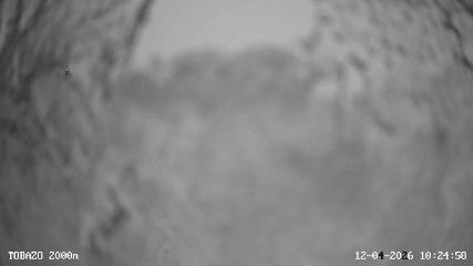 Candanchú: Tobazo(Candanchu.com)