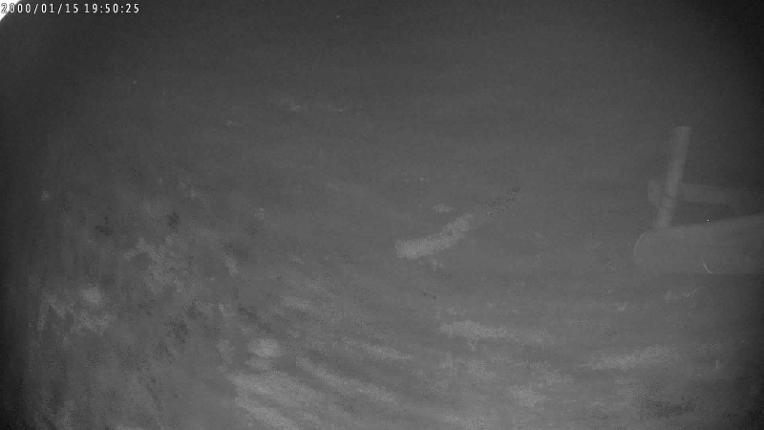 Webcam Candanchú: Tuca Blanca