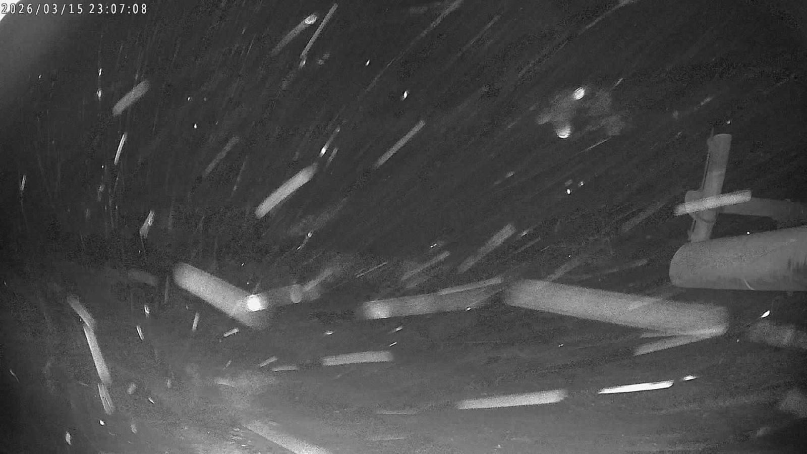 Webcam Candanchú: Tuca Blanca