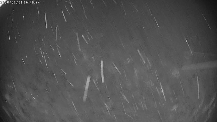 Webcam Candanchú: Tuca Blanca