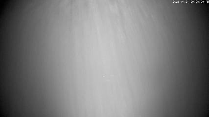 Cardrona: Main Basin (cardrona-treblecone.com)