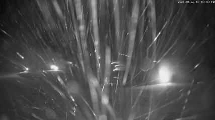 Cardrona: Main Basin (cardrona-treblecone.com)