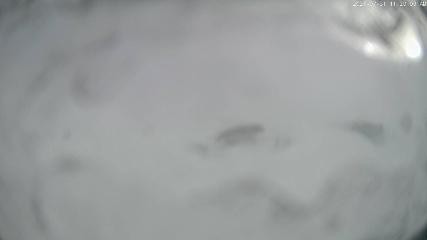 Cardrona: Main Basin (cardrona-treblecone.com)