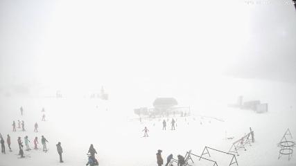 Cardrona: Main Basin (cardrona-treblecone.com)