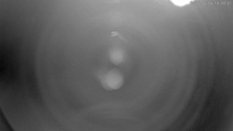 Webcam Cardrona: Soho