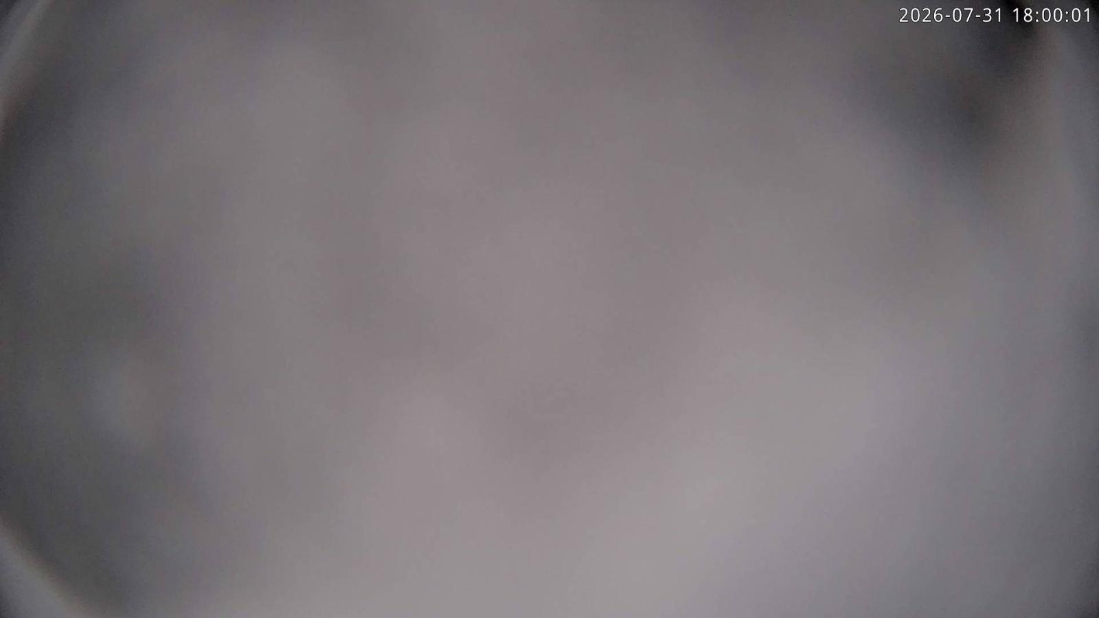 Webcam Cardrona: Soho