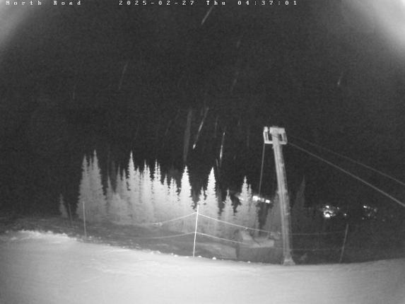 Webcam Castle Mountain: North Road