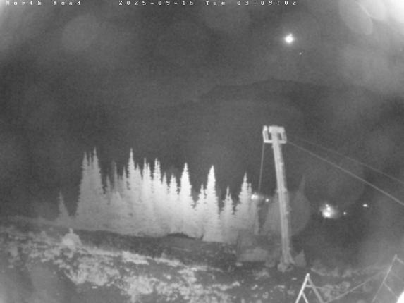 Webcam Castle Mountain: North Road