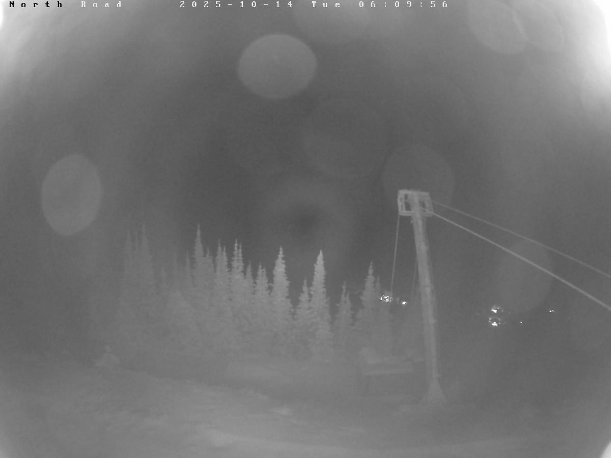Webcam Castle Mountain: North Road
