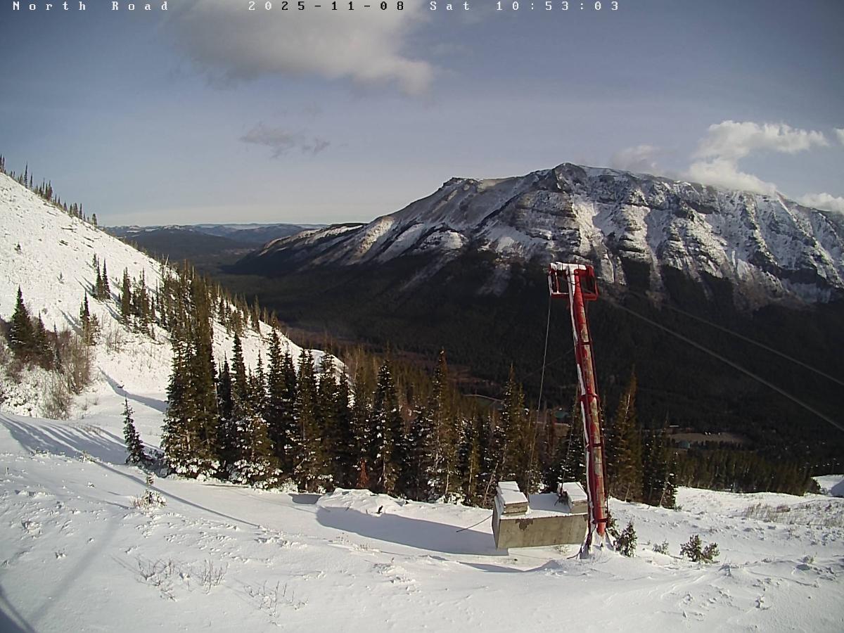 Webcam Castle Mountain: North Road