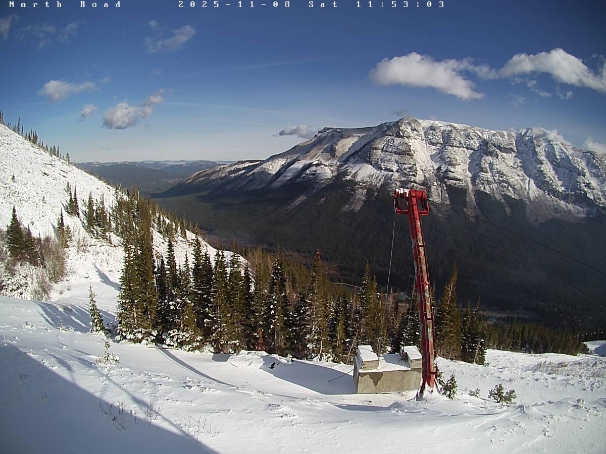 Webcam Castle Mountain: North Road