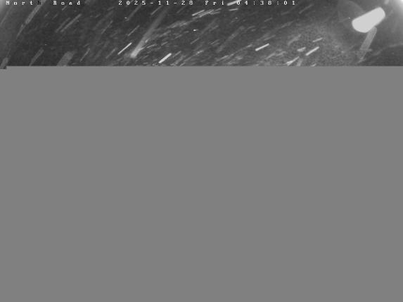 Webcam Castle Mountain: North Road