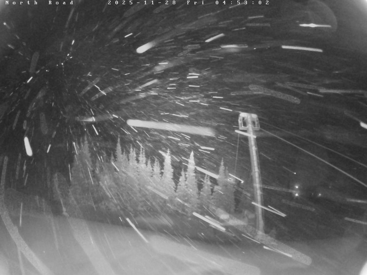 Webcam Castle Mountain: North Road