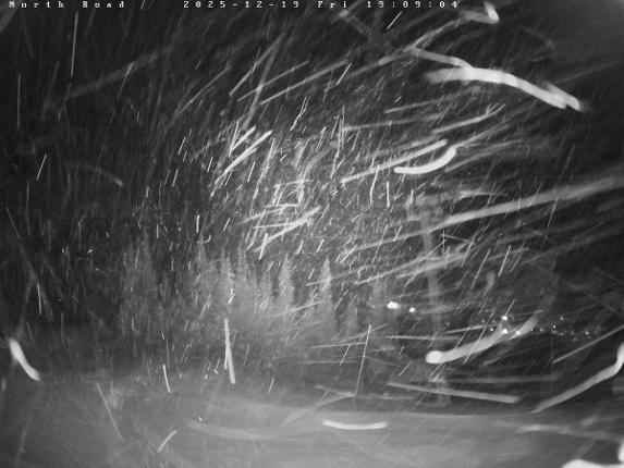 Webcam Castle Mountain: North Road