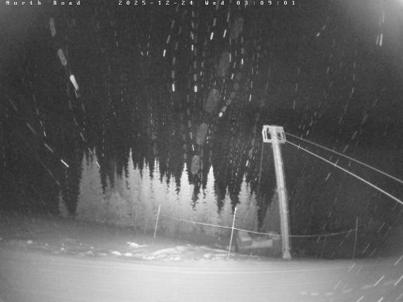 Webcam Castle Mountain: North Road