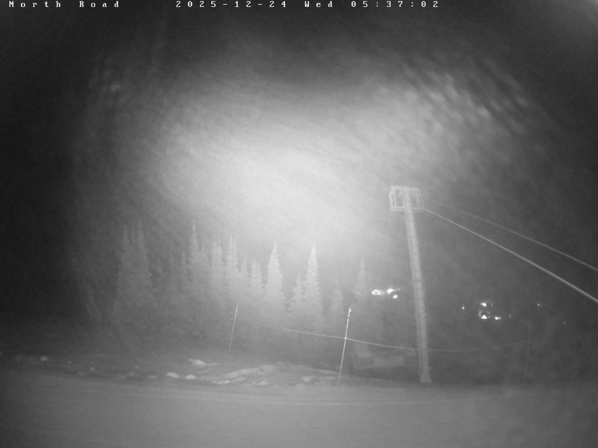Webcam Castle Mountain: North Road