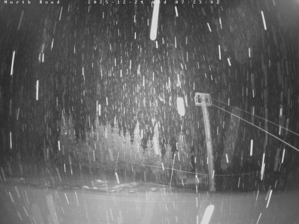 Webcam Castle Mountain: North Road