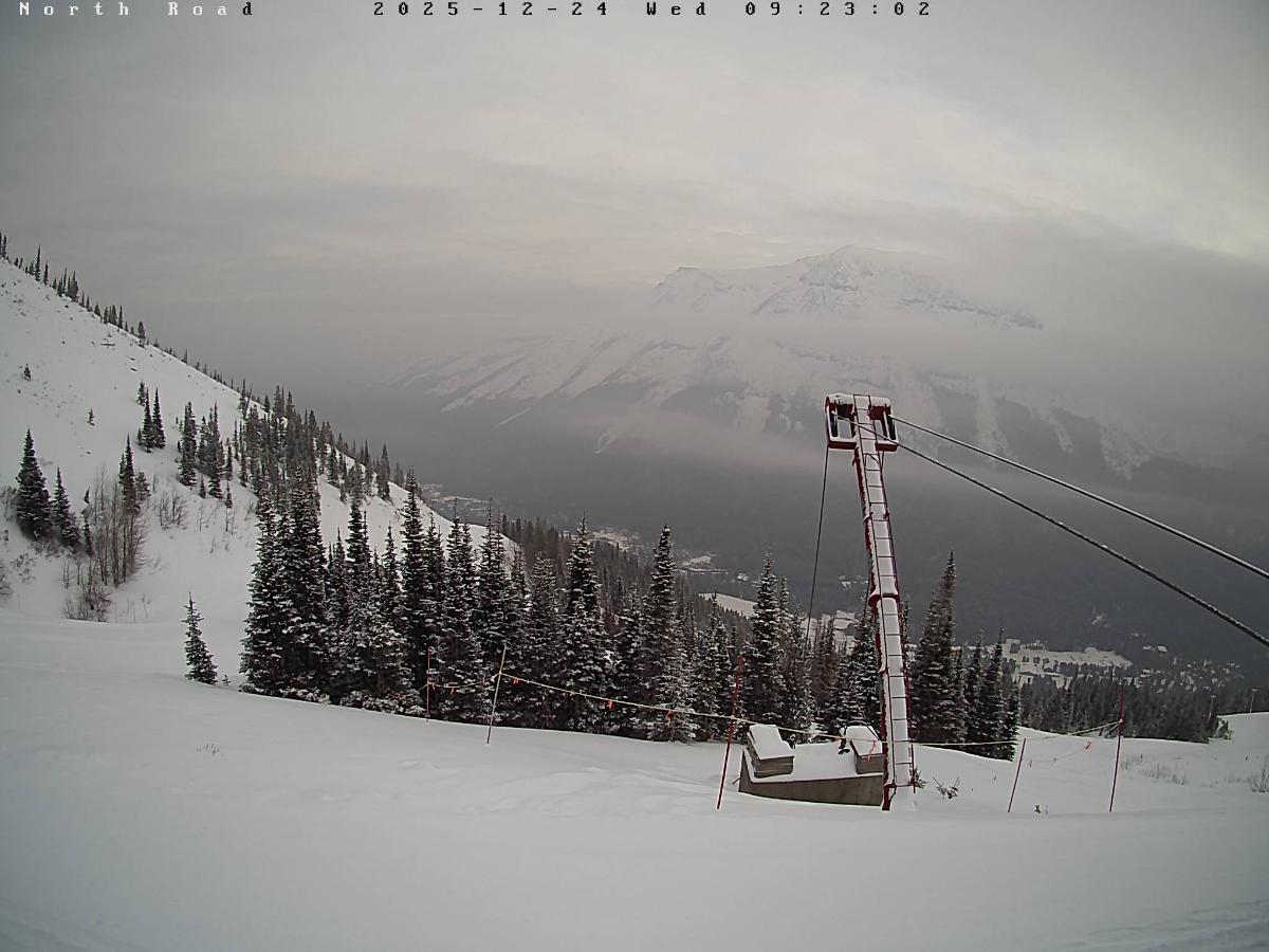 Webcam Castle Mountain: North Road