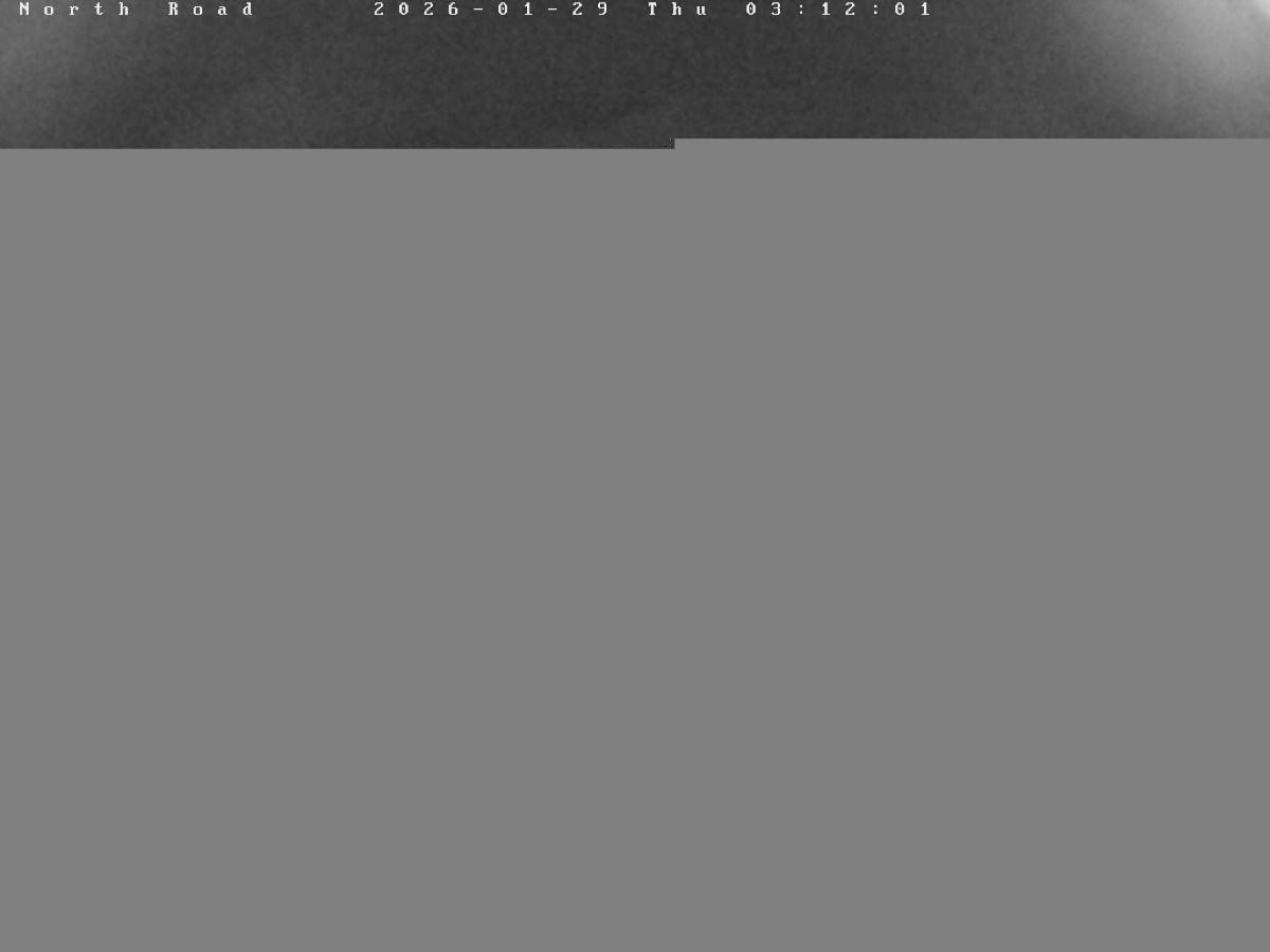 Webcam Castle Mountain: North Road