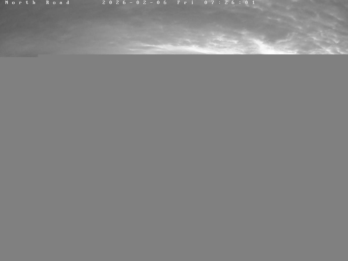 Webcam Castle Mountain: North Road