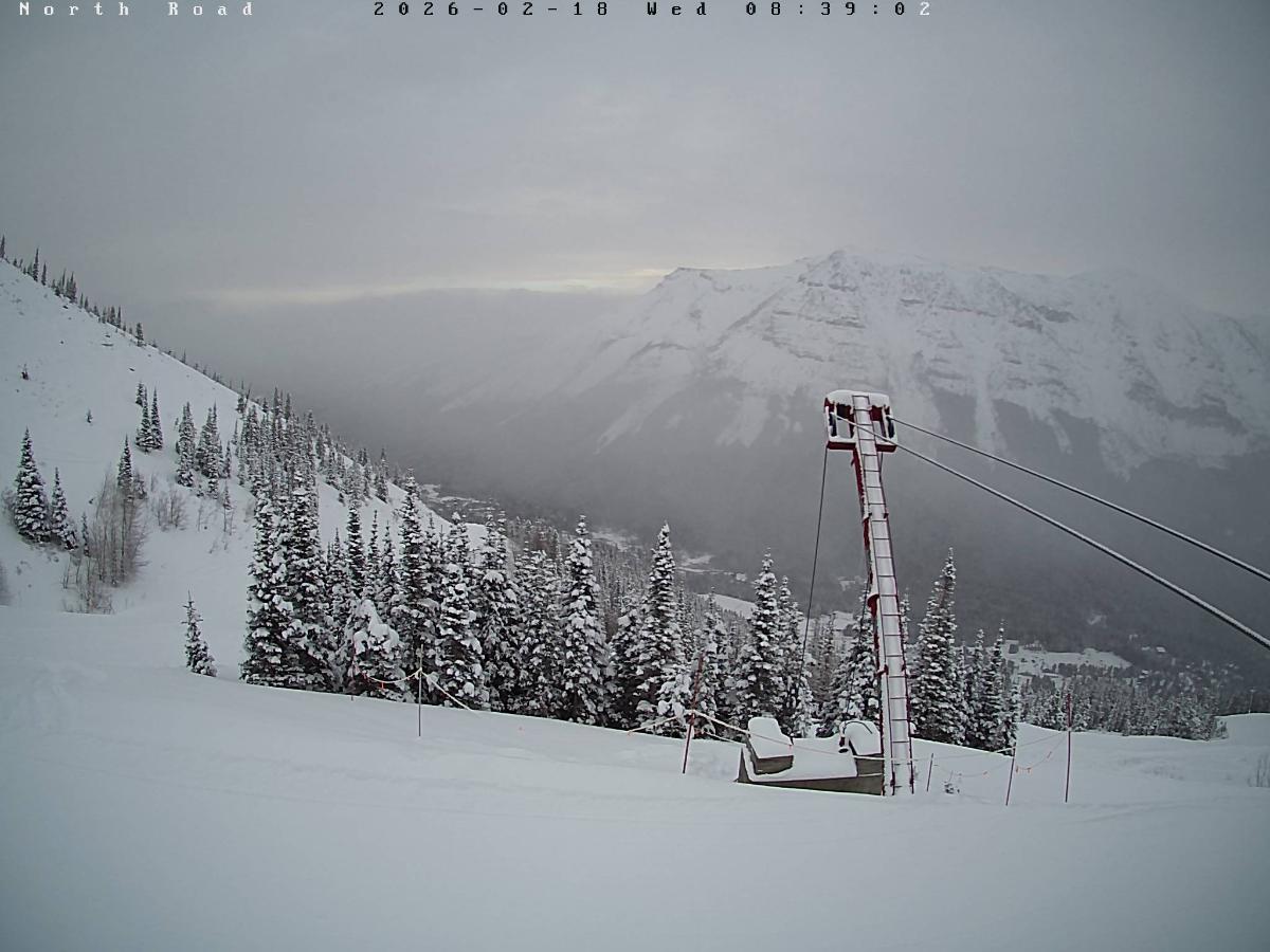 Webcam Castle Mountain: North Road