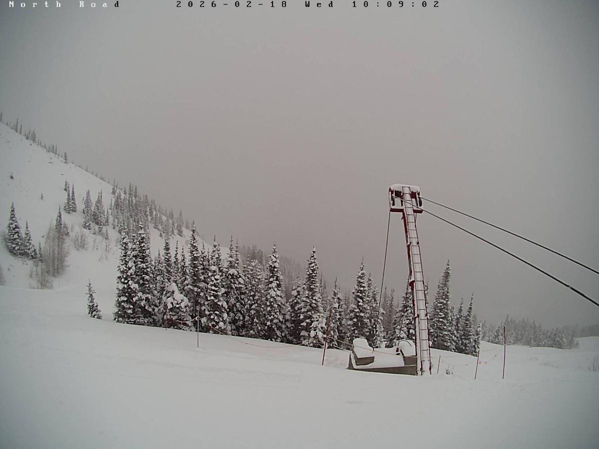 Webcam Castle Mountain: North Road