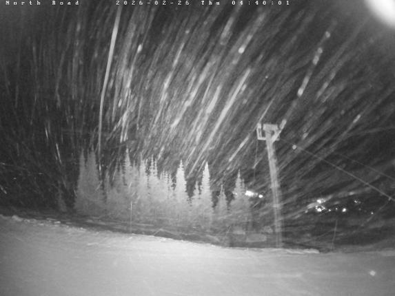 Webcam Castle Mountain: North Road
