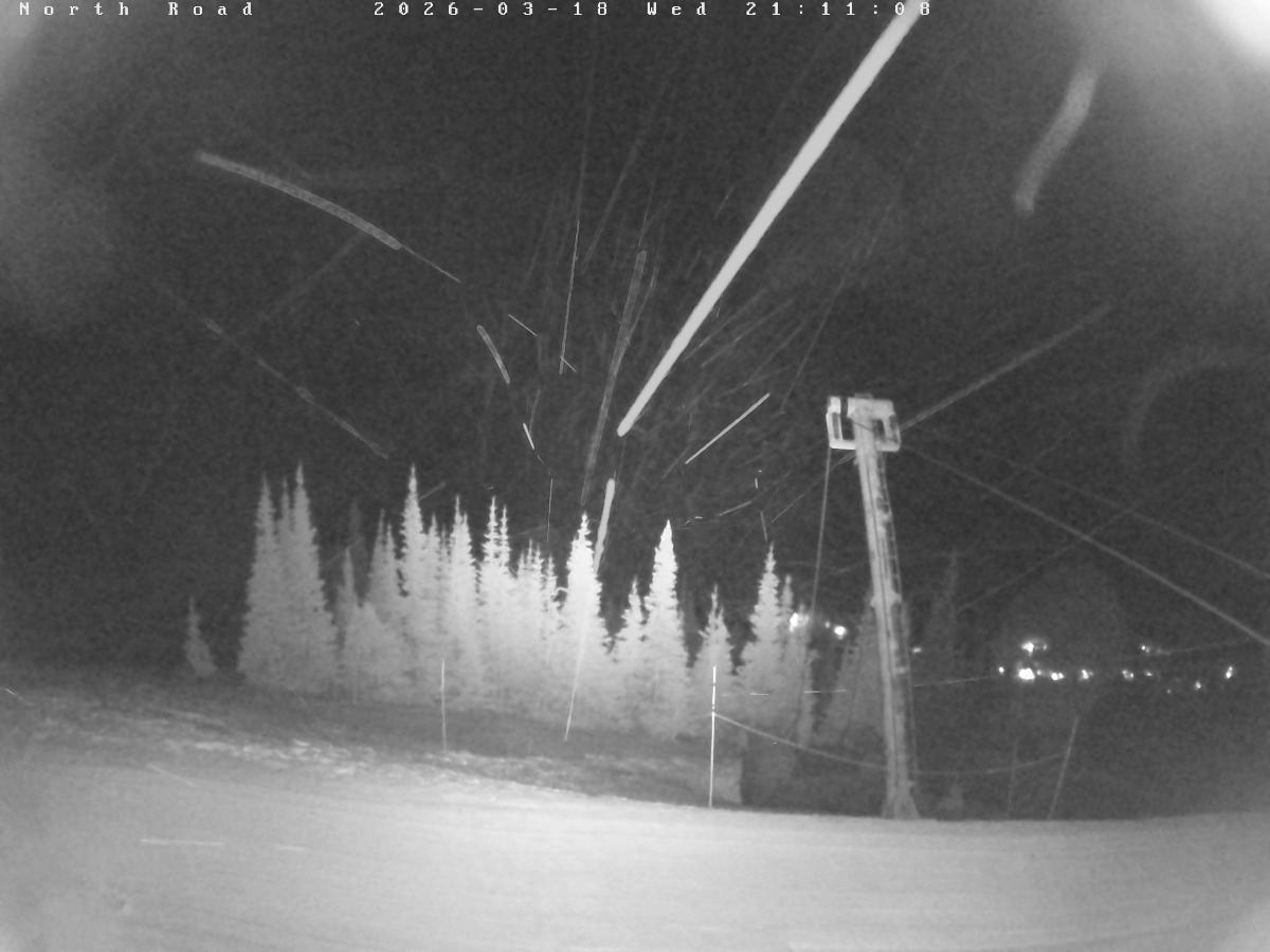 Webcam Castle Mountain: North Road