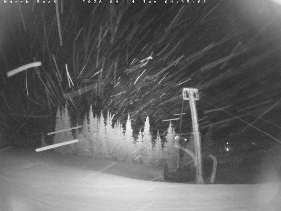 Webcam Castle Mountain: North Road
