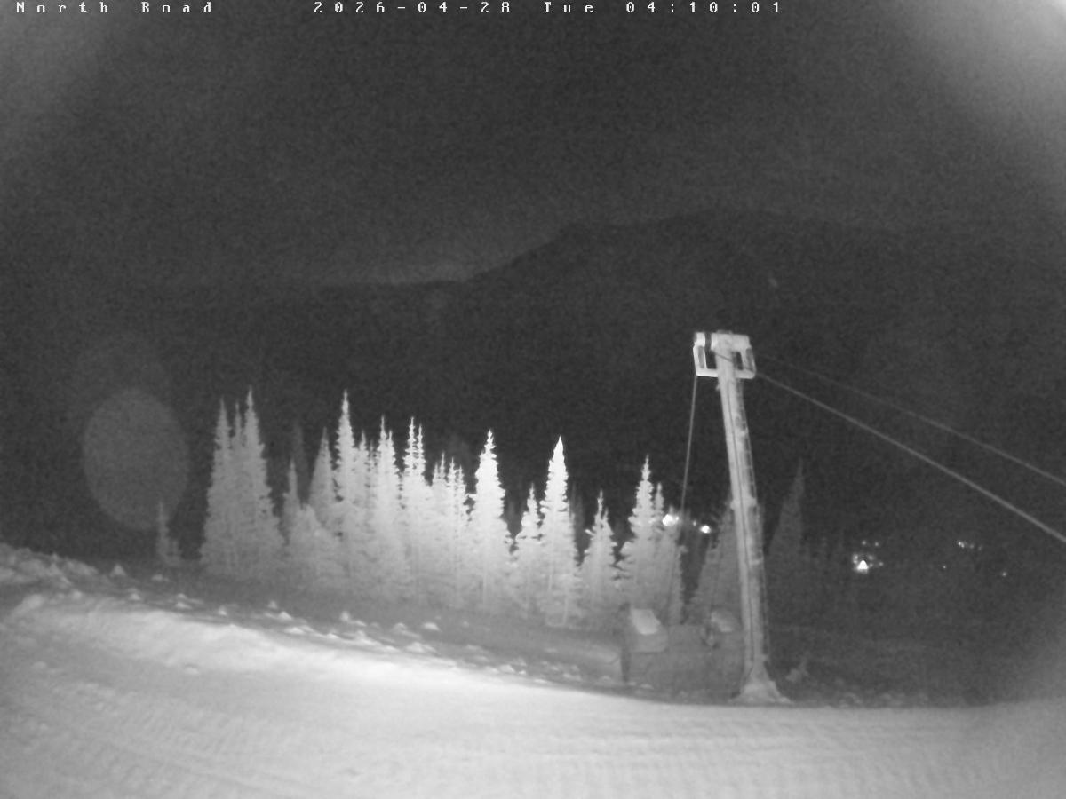 Webcam Castle Mountain: North Road