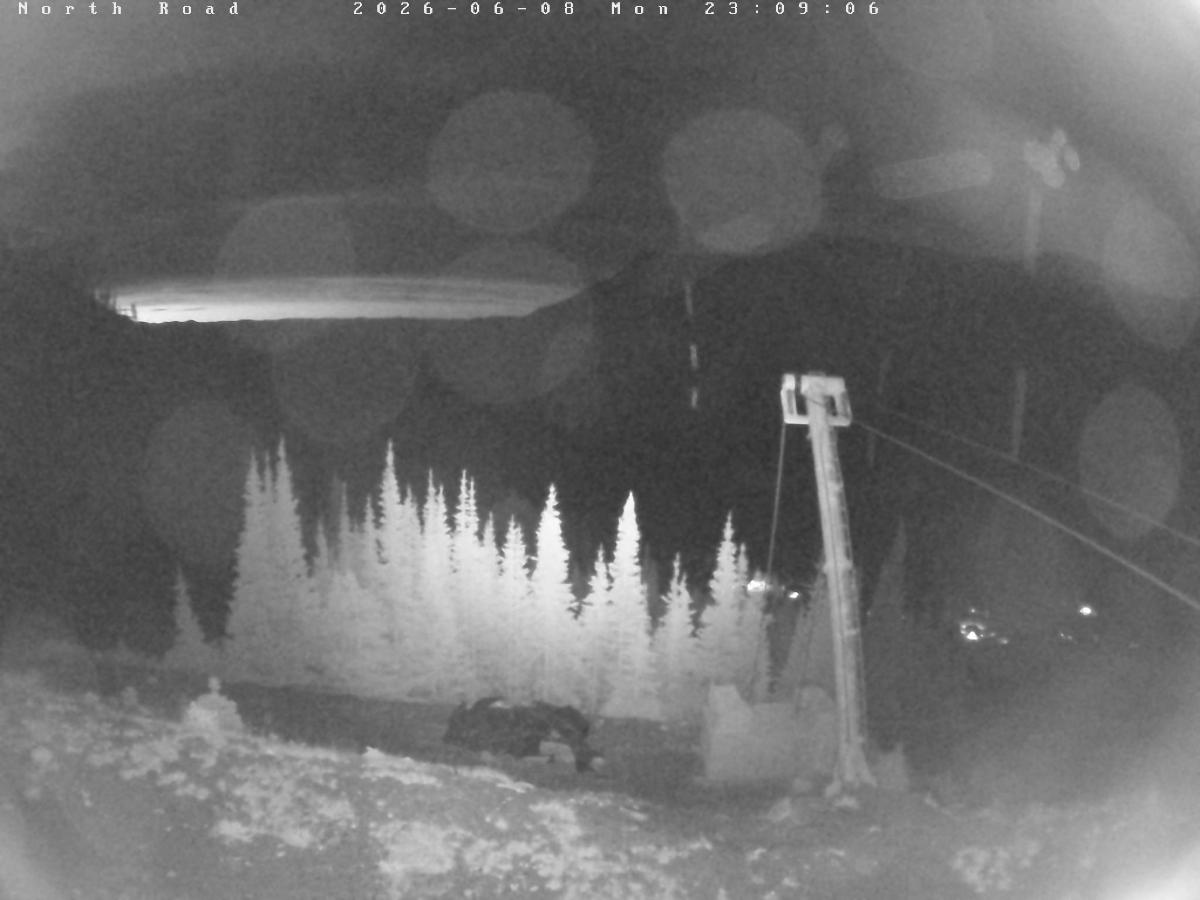 Webcam Castle Mountain: North Road