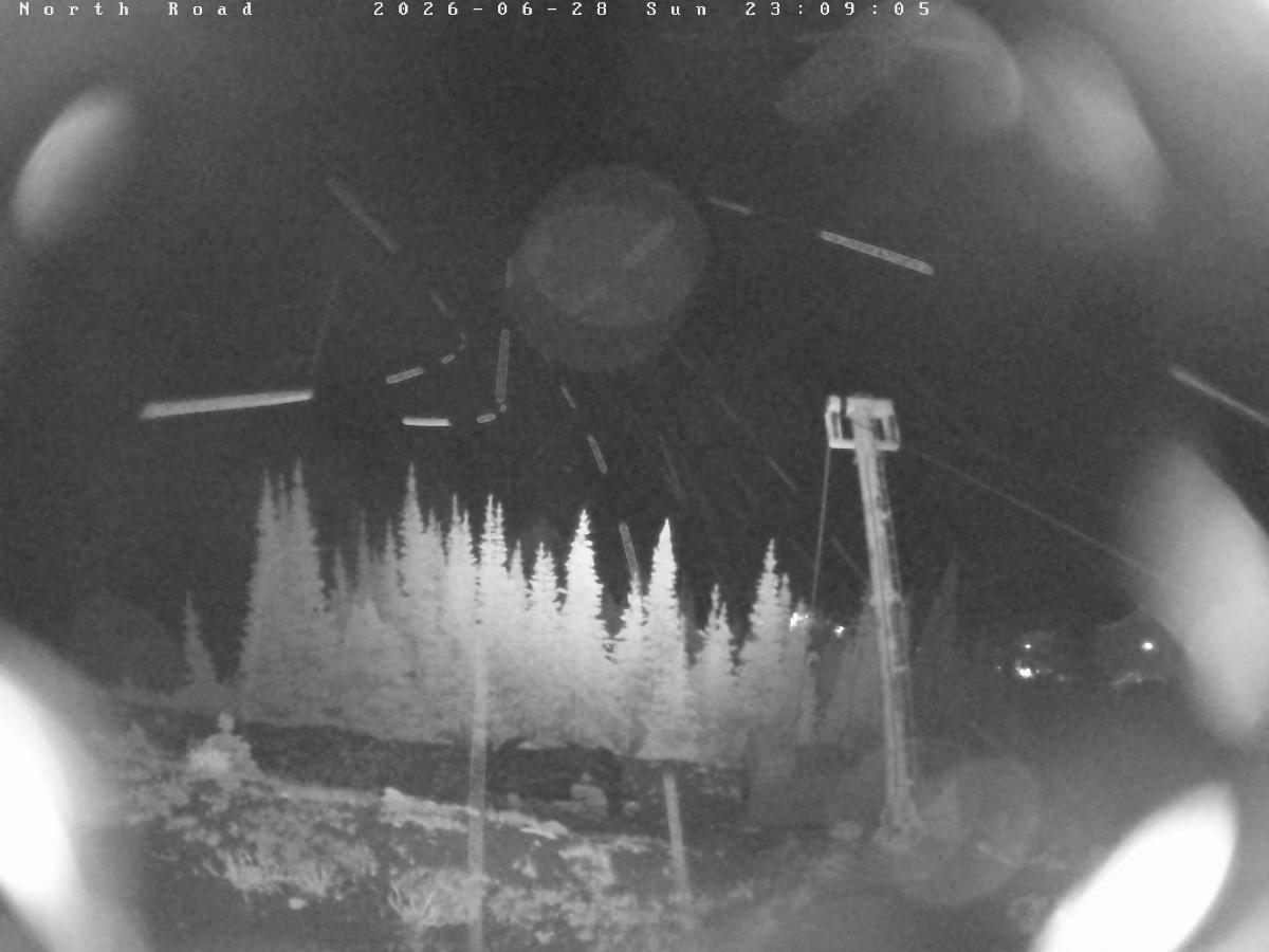 Webcam Castle Mountain: North Road