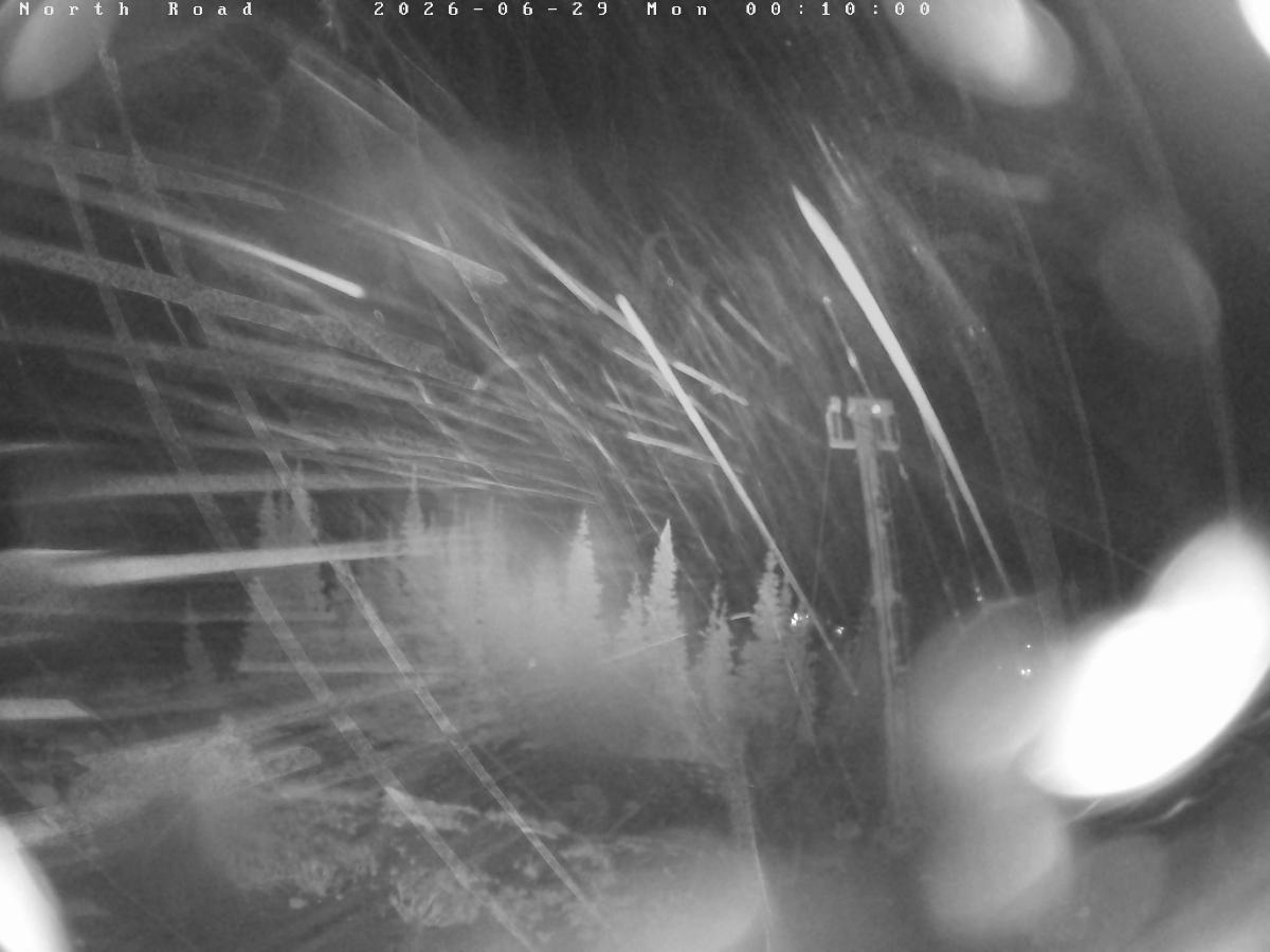 Webcam Castle Mountain: North Road