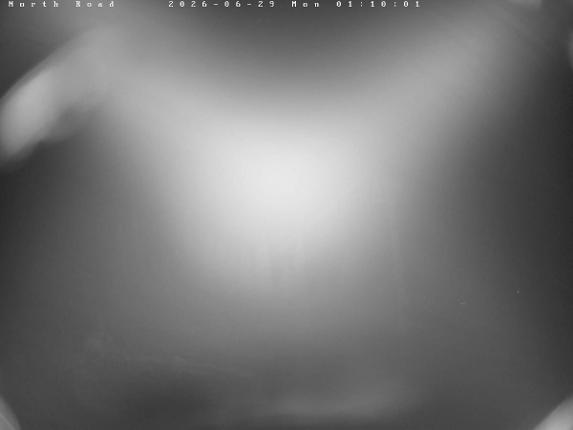 Webcam Castle Mountain: North Road
