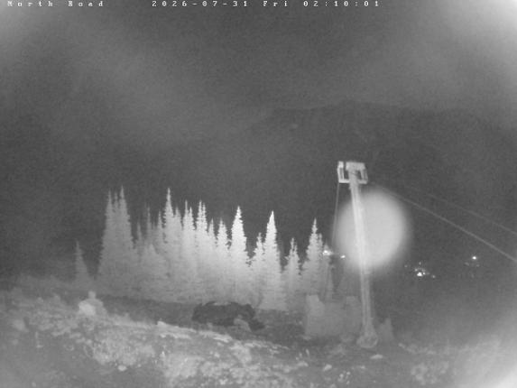 Webcam Castle Mountain: North Road