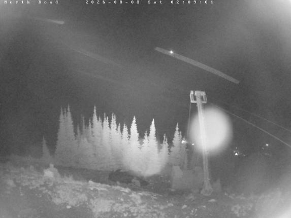 Webcam Castle Mountain: North Road