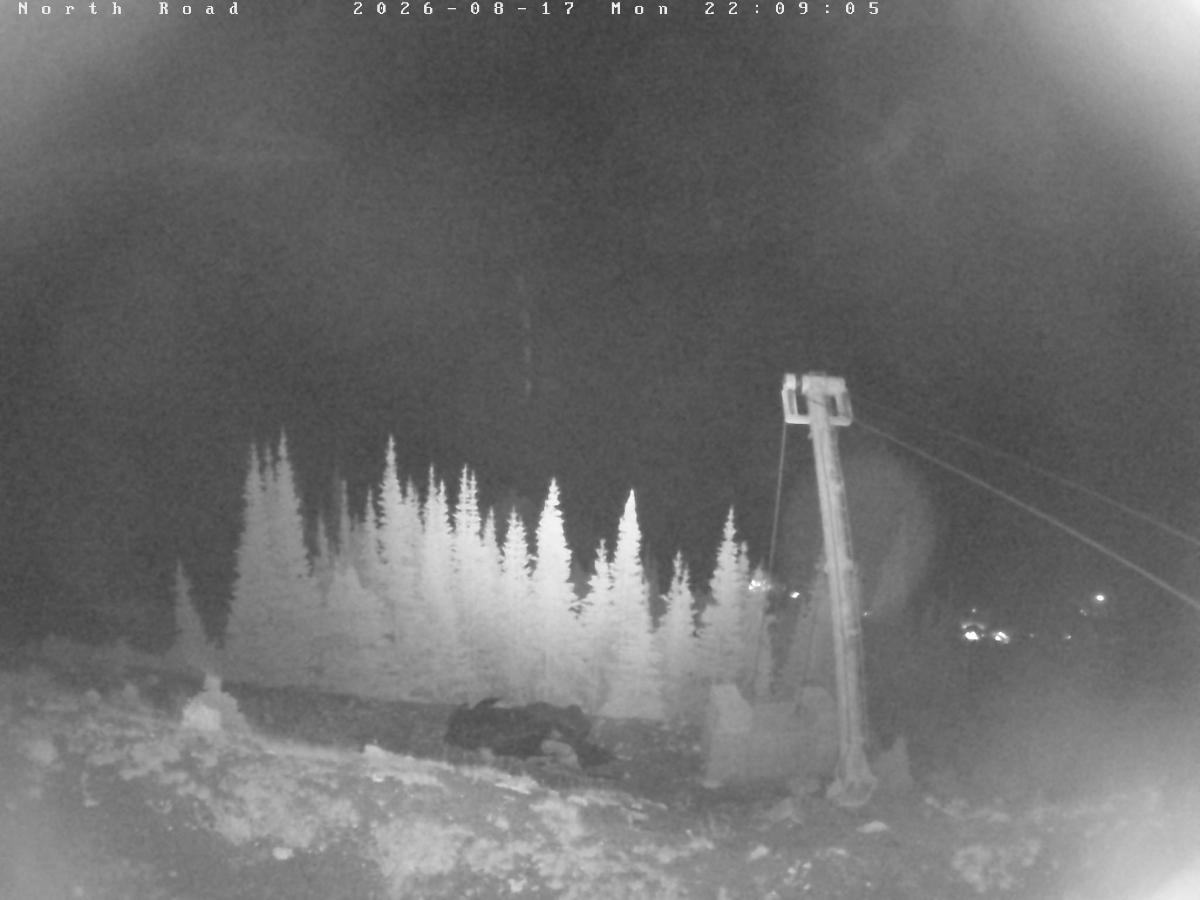 Webcam Castle Mountain: North Road