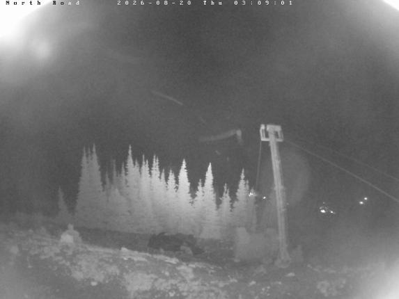 Webcam Castle Mountain: North Road