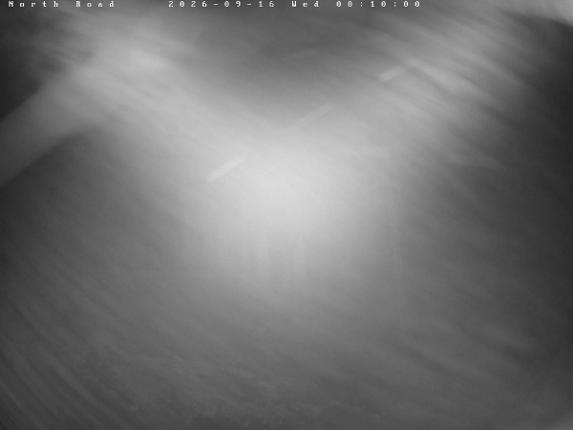 Webcam Castle Mountain: North Road