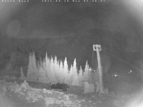 Webcam Castle Mountain: North Road