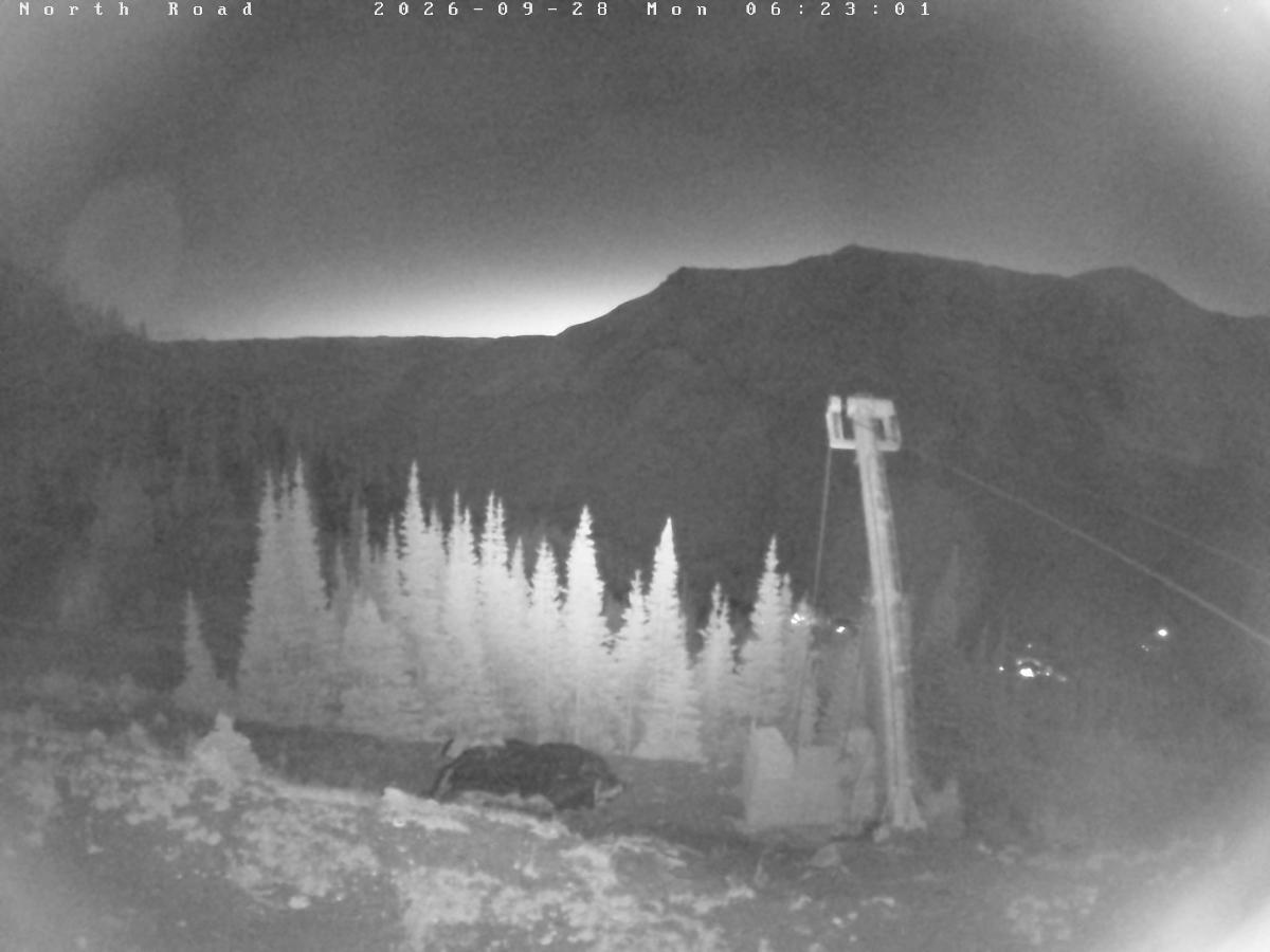 Webcam Castle Mountain: North Road