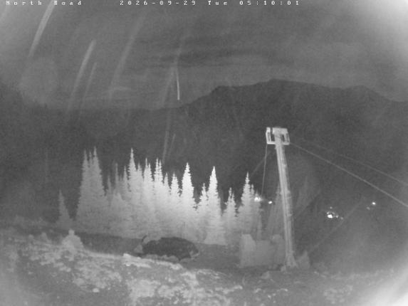 Webcam Castle Mountain: North Road