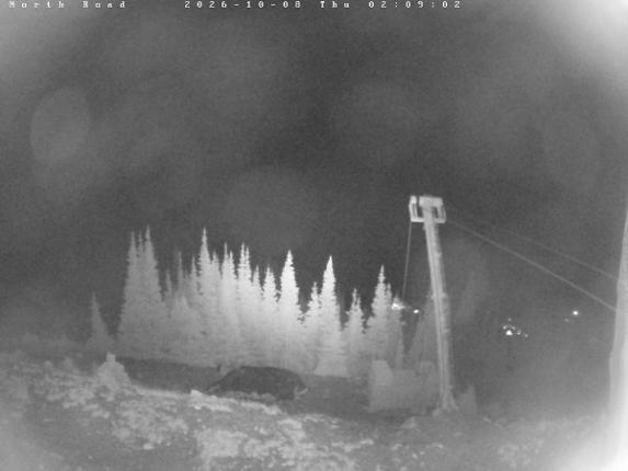 Webcam Castle Mountain: North Road