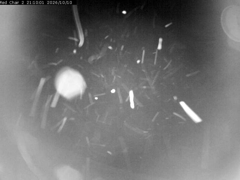 Webcam Castle Mountain: Red Chair Lift 2