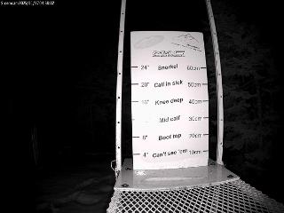 Castle Mountain: Storm Cam (skicastle.ca)