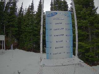 Castle Mountain: Storm Cam (skicastle.ca)