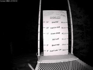 Castle Mountain webcam