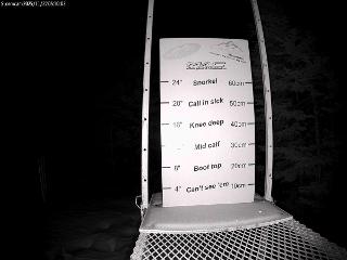 Castle Mountain: Storm Cam (skicastle.ca)