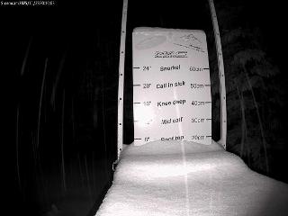 Castle Mountain: Storm Cam (skicastle.ca)