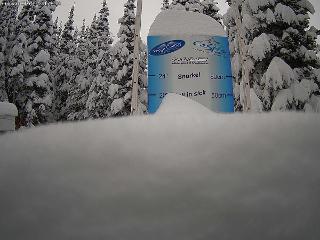 Castle Mountain: Storm Cam (skicastle.ca)